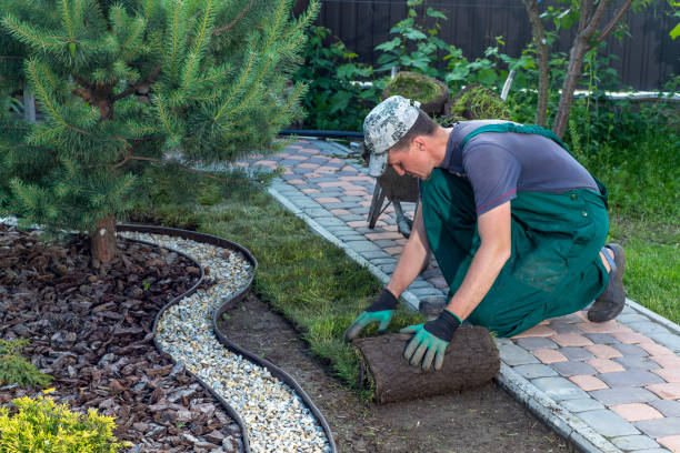 Professional Turf Laying Services in Sydney for New Lawns and Outdoor Spaces