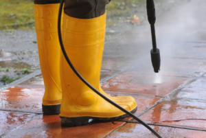 Essential Tips to Protect Delicate Landscaping During Pressure Cleaning in Mosman